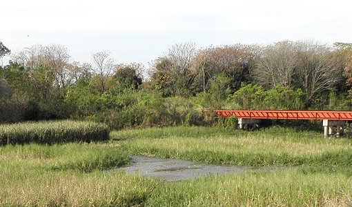 Reserva Ecológica en la Ciudad Universitaria Reserva Ecológica en la Ciudad Universitaria