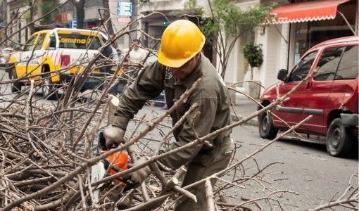 Plan de poda invernal en la comuna 7