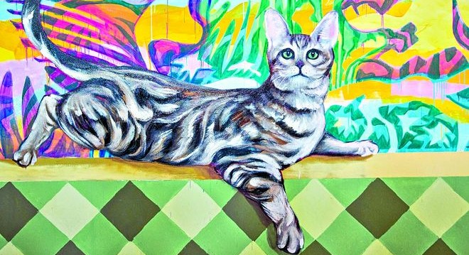 La estación Plaza de los Virreyes estrenó un nuevo mural La estación Plaza de los Virreyes estrenó un nuevo mural