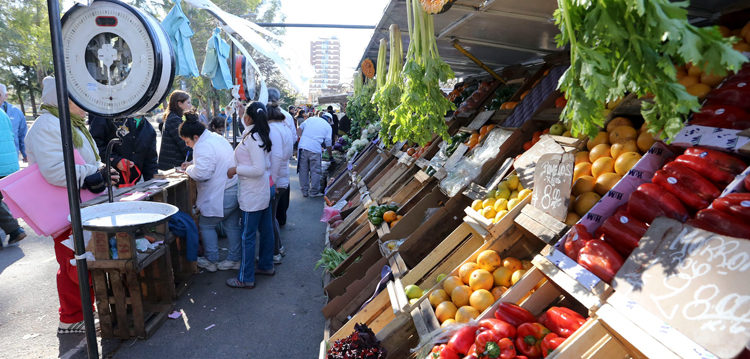 La feria itinerante barrial en la comuna La feria itinerante barrial en la comuna