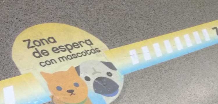 Las mascotas podrán viajar en las líneas del subte porteño Las mascotas podrán viajar en las líneas del subte porteño