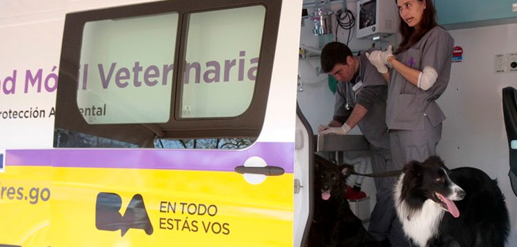 Atención gratuita para mascotas en el barrio de Flores