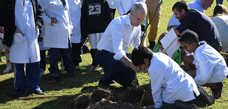 La ciudad amplía los espacios verdes con 20 mil árboles