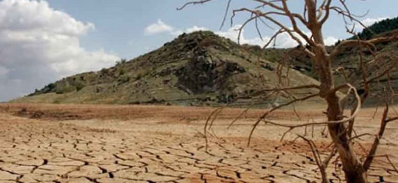 Día mundial de lucha contra la desertificación y la sequía