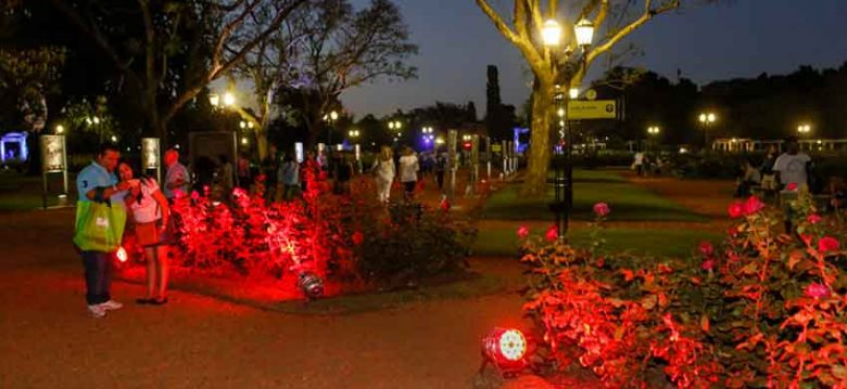 Nueva edición de La Noche de los Jardines en la ciudad