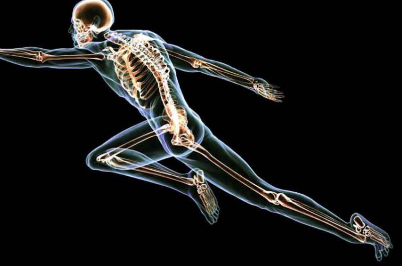 Cuidar la salud de tus huesos y tu cuerpo Cuidar la salud de tus huesos y tu cuerpo