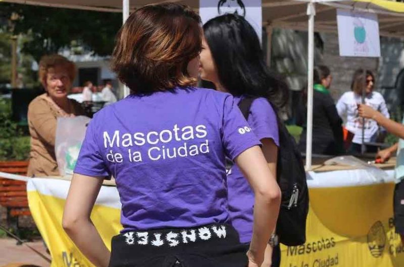 Agapornis brindará un recital a beneficio de las mascotas Agapornis brindará un recital a beneficio de las mascotas