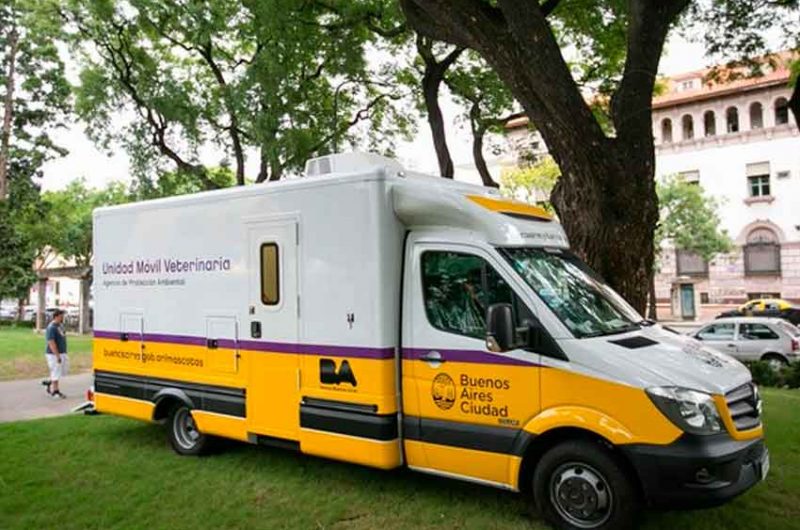 Atención veterinaria gratuita en distintos puntos de la ciudad Atención veterinaria gratuita en distintos puntos de la ciudad