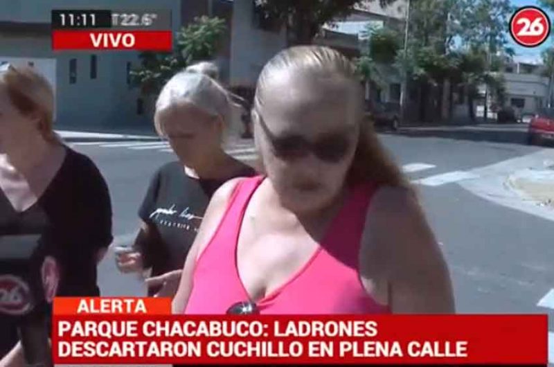 En Parque Chacabuco los vecinos denuncian zona liberada