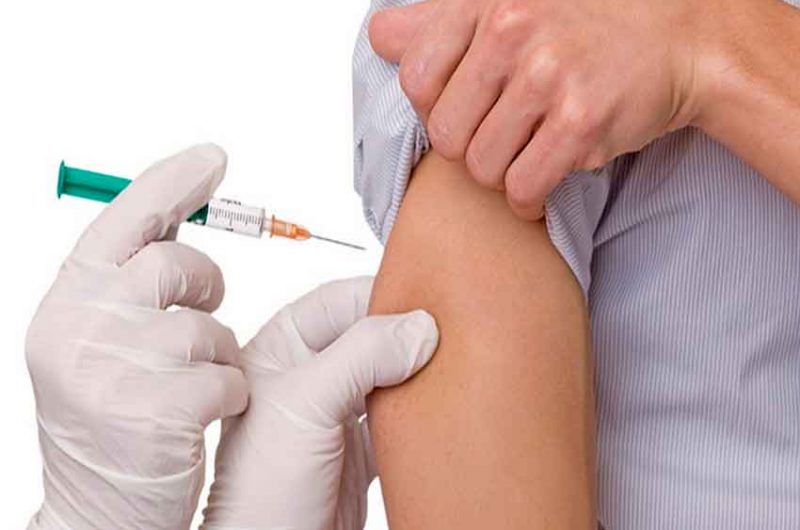 Fabricarán en la Argentina una vacuna contra la fiebre amarilla Fabricarán en la Argentina una vacuna contra la fiebre amarilla