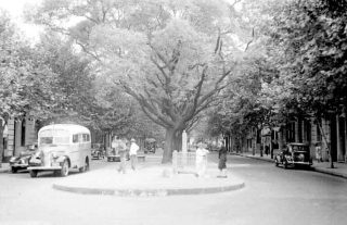 Flores, la muestra histórica