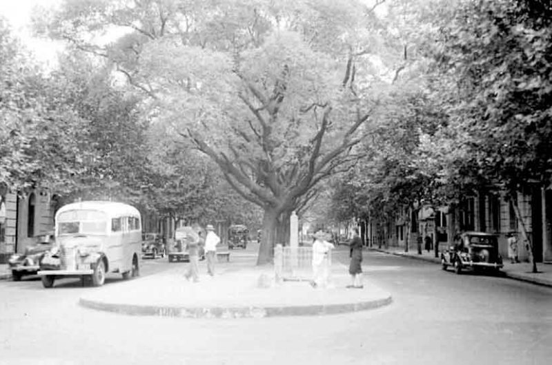 Flores, la muestra histórica