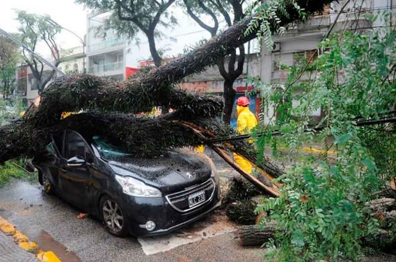 Un gran Temporal sacudió a la Ciudad de Buenos Aires