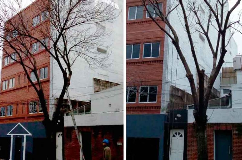 Trabajos de arbolado en la comuna 7 Trabajos de arbolado en la comuna 7