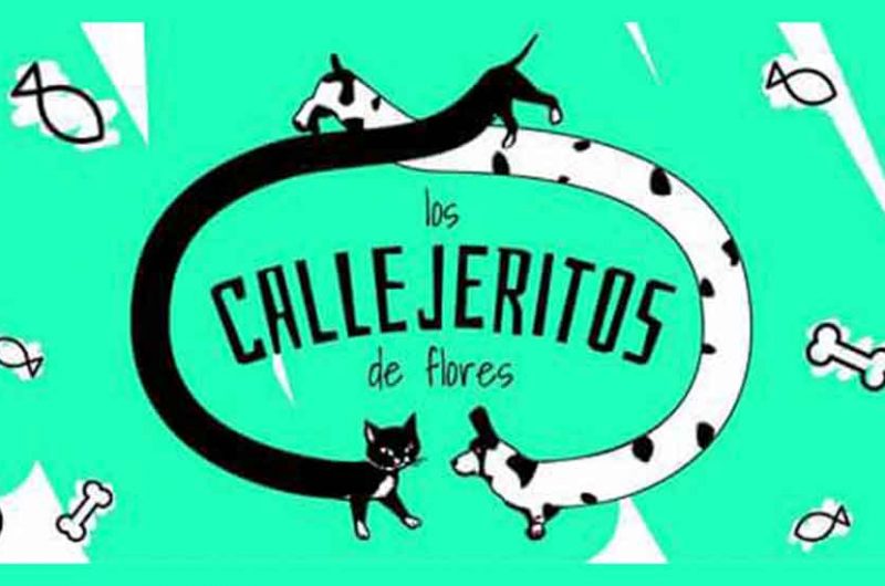 Colecta para feria americana por los «Callejeritos» Colecta para feria americana por los «Callejeritos»