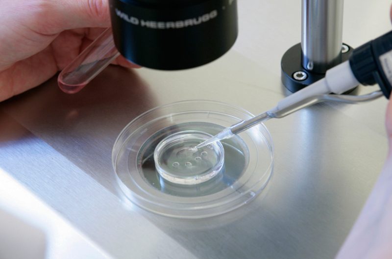 ObSBA deberá cubrir tratamiento integral de Fertilización ObSBA deberá cubrir tratamiento integral de Fertilización