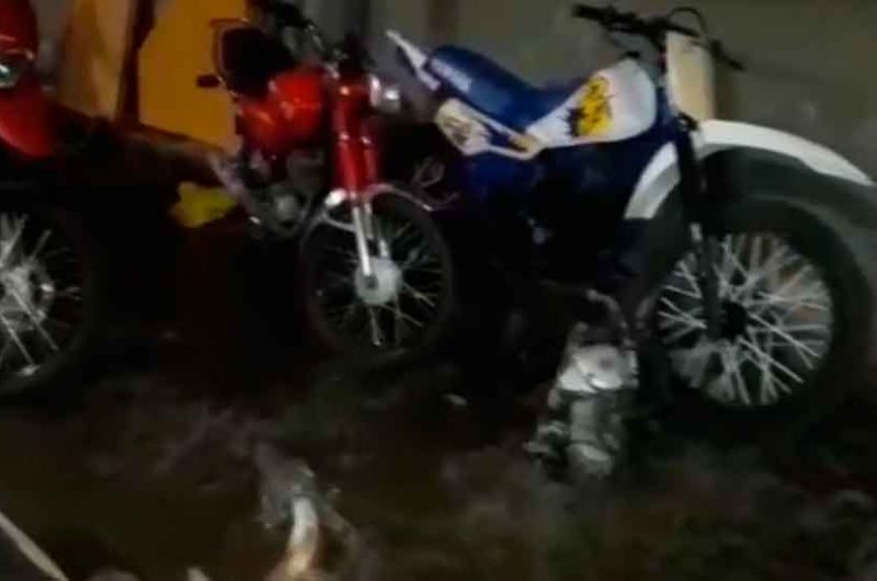 Fue desbaratada una banda que se dedicaba al robo y desguace de motos