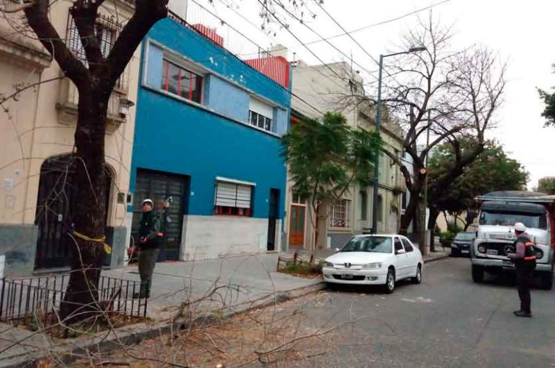 Trabajos de Poda de Arbolado en el barrio de Flores