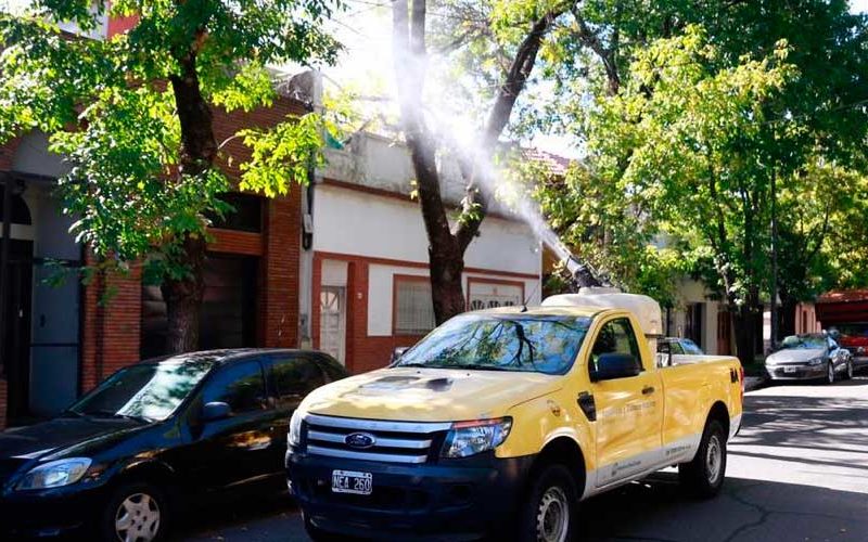 Confirman 6498 casos de dengue en CABA Confirman 6498 casos de dengue en CABA