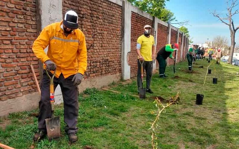 Plan integral de plantaciones en la Comuna 7