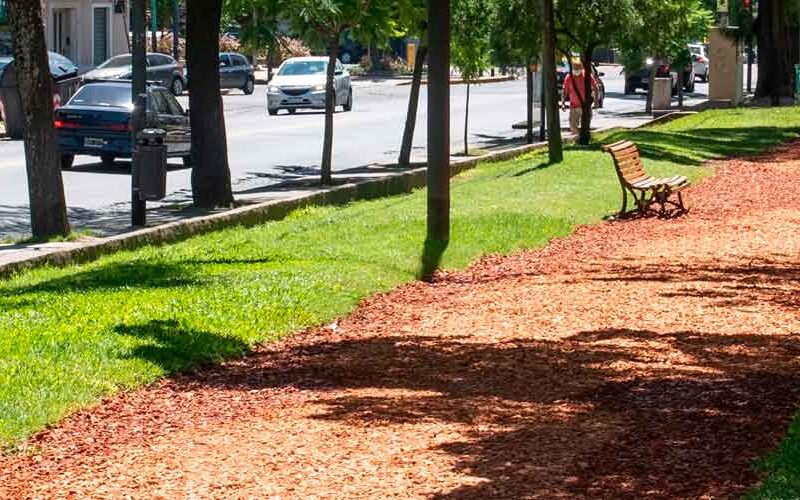 Trabajos de embellecimiento en espacios verdes Trabajos de embellecimiento en espacios verdes