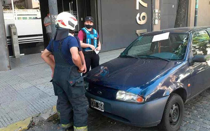 Bomberos rescataron a un gato atrapado en motor de auto