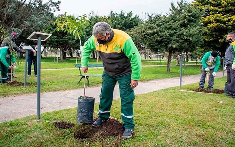 Se plantarán más de 16 mil árboles durante 2021 Se plantarán más de 16 mil árboles durante 2021