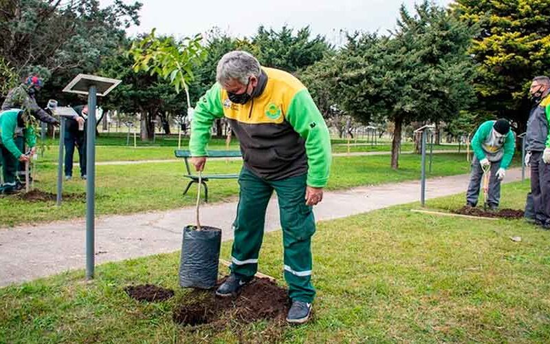 Se plantarán más de 16 mil árboles durante 2021