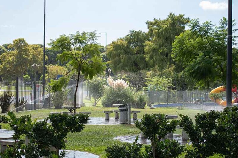 Puesta en valor de las plazas del barrio de Flores Puesta en valor de las plazas del barrio de Flores
