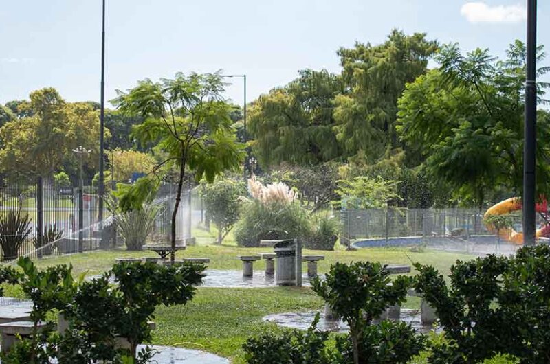 Puesta en valor de las plazas del barrio de Flores