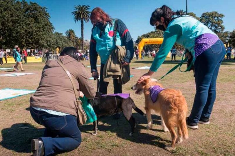 Jornada de adopción de mascotas en Parque Chacabuco