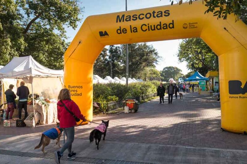 Jornada de adopción de mascotas en Parque Chacabuco