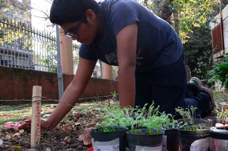 Las escuelas porteñas producen sus alimentos y el cuidado del ambiente Las escuelas porteñas producen sus alimentos y el cuidado del ambiente