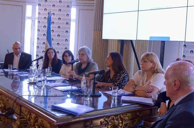 Consenso de salud mental en la Legislatura Consenso de salud mental en la Legislatura