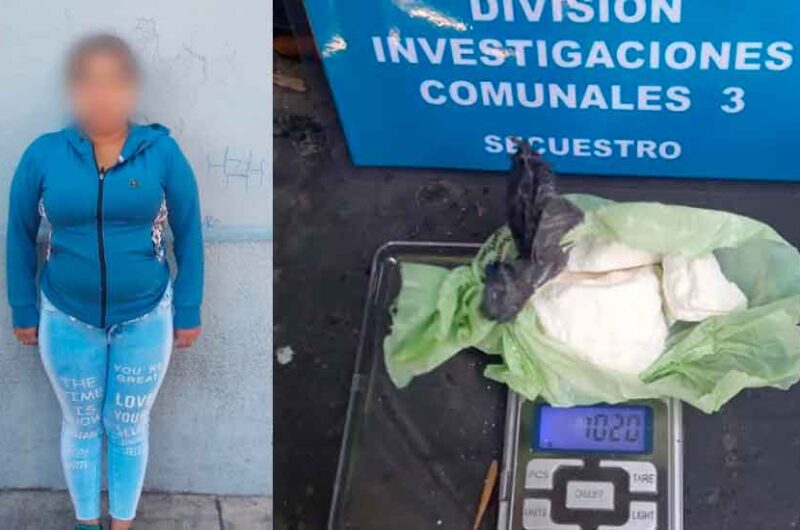 Cayó una «mamá dealer» en Constitución