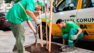 La Comuna 7 de Buenos Aires inicia la plantación de otoño