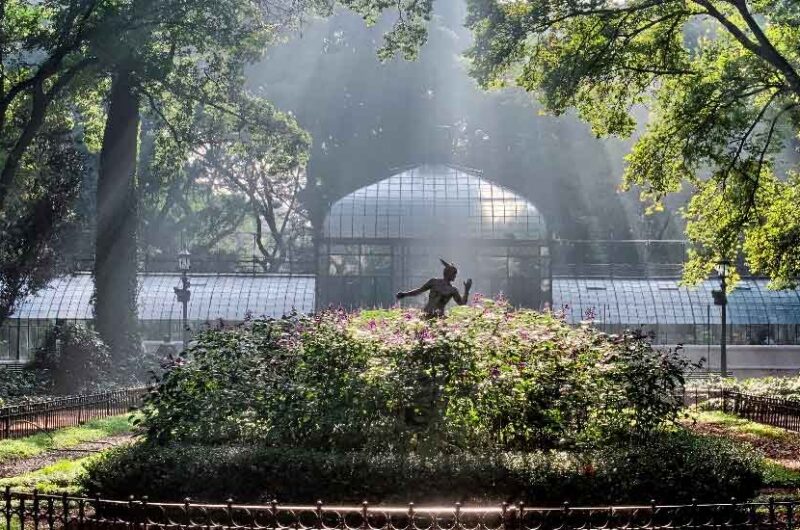 Vacaciones en el Botánico para disfrutar en familia Vacaciones en el Botánico para disfrutar en familia