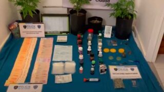 Tres detenidos en dos growshops por menores intoxicados