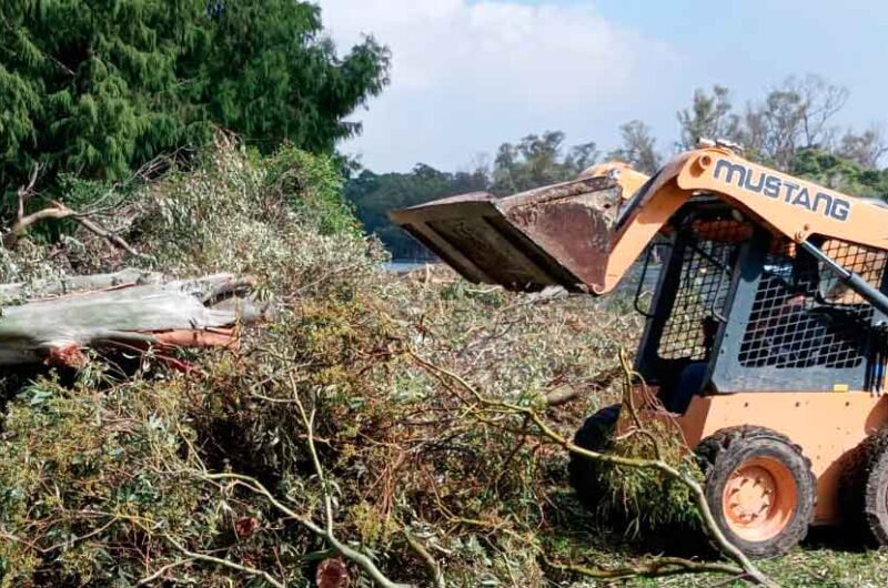 Ya no quedan cortes totales de calle por árboles caídos Ya no quedan cortes totales de calle por árboles caídos