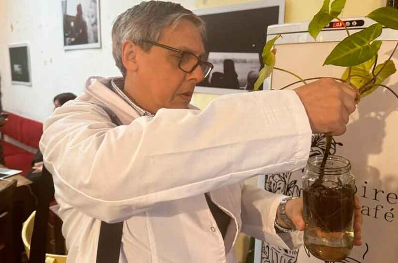 Comenzó la campaña de prevención contra el Dengue Comenzó la campaña de prevención contra el Dengue
