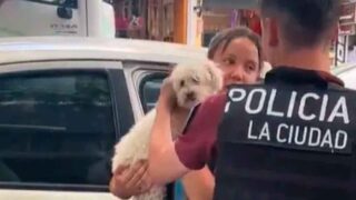 La policía rescato un perro encerrado en un auto