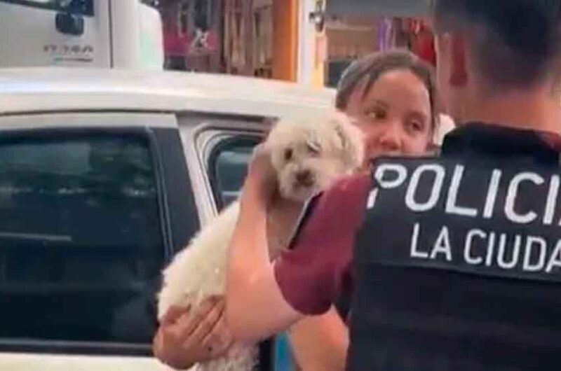 La policía rescato un perro encerrado en un auto La policía rescato un perro encerrado en un auto