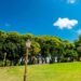 Parque Chacabuco cumple 122 años y te invita a recorrer su historia