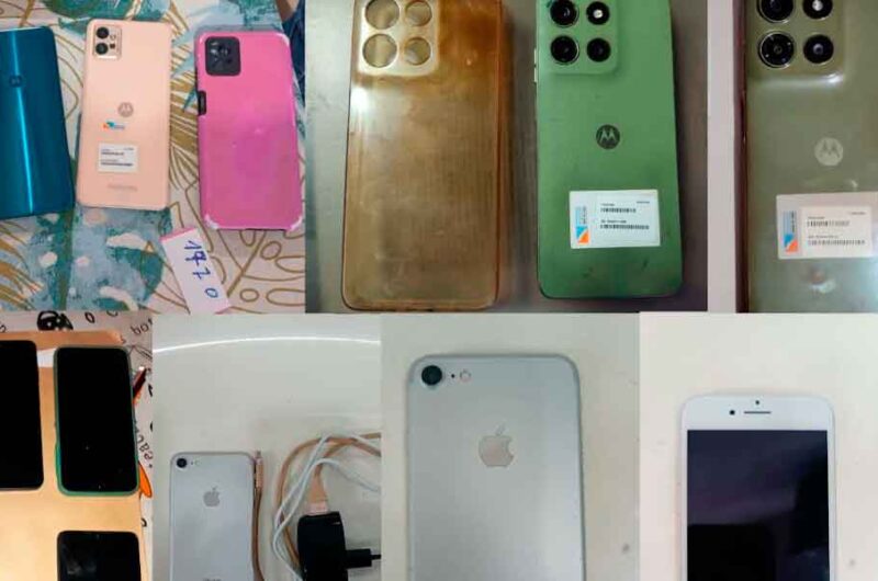 La Policía de la Ciudad desarmó la banda de punguistas del “Gitano”