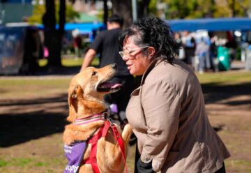 Nuevo formato para las jornadas de adopción de mascotas Nuevo formato para las jornadas de adopción de mascotas