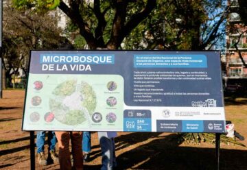 La Plaza Irlanda ya tiene su propio microbosque nativo