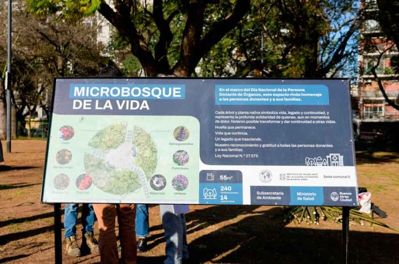 La Plaza Irlanda ya tiene su propio microbosque nativo La Plaza Irlanda ya tiene su propio microbosque nativo